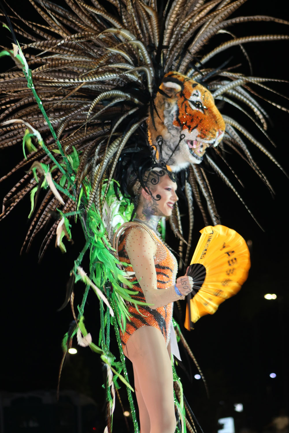 Headdress Ball 2018 photo - Duval Street, Key West